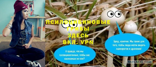 экстази Алексин