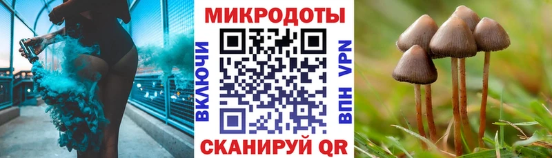 купить наркотики сайты  мориарти официальный сайт  Галлюциногенные грибы прущие грибы  Кудрово 
